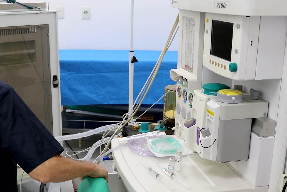 fotos_Mesa de trabajo 1-03